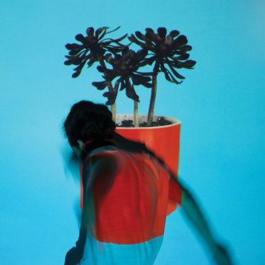 local_natives_sunlit_youth_300