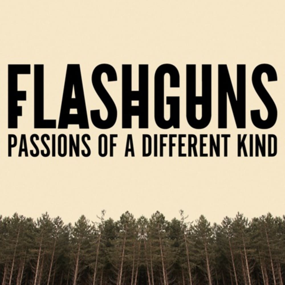 flashguns
