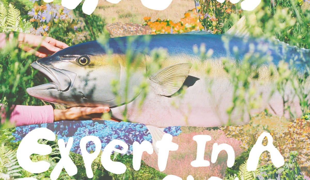 The Beths Expert In A Dying Field album artwork