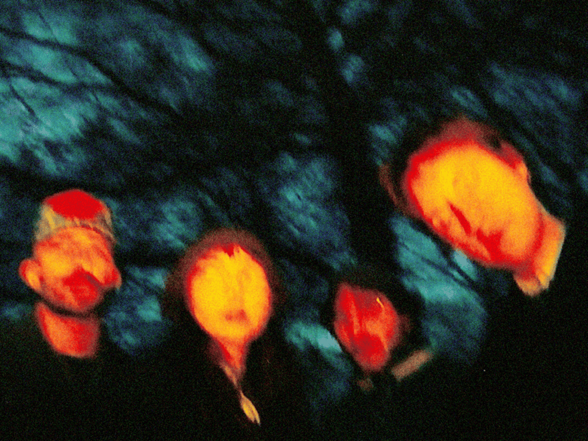 Blood Wizard Announces New EP ‘Lucky Life’ and Shares Contemplative Single ‘Daydreaming’