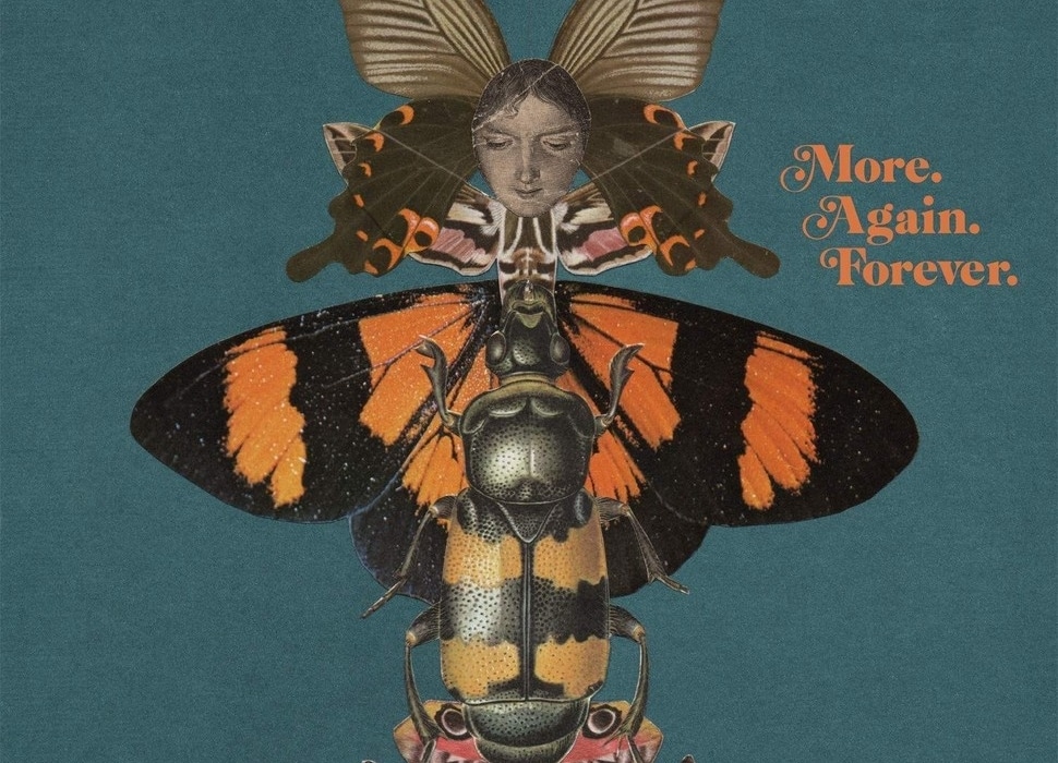 courteeners more again forever artwork
