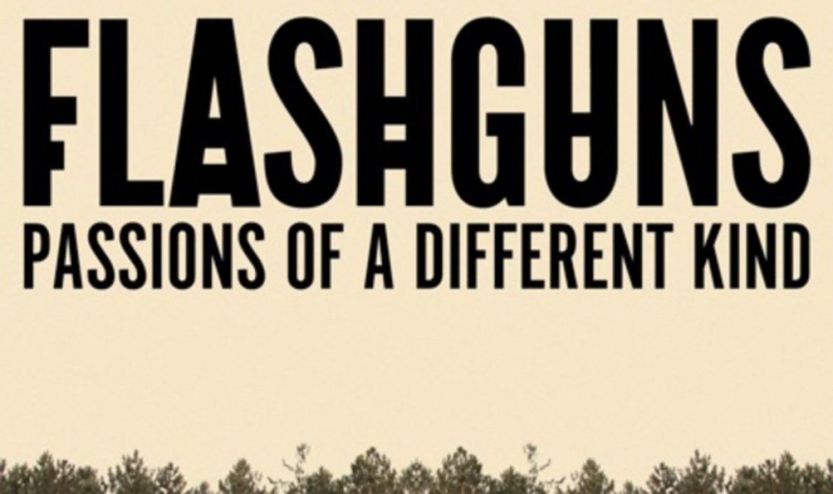 flashguns album cover artwork