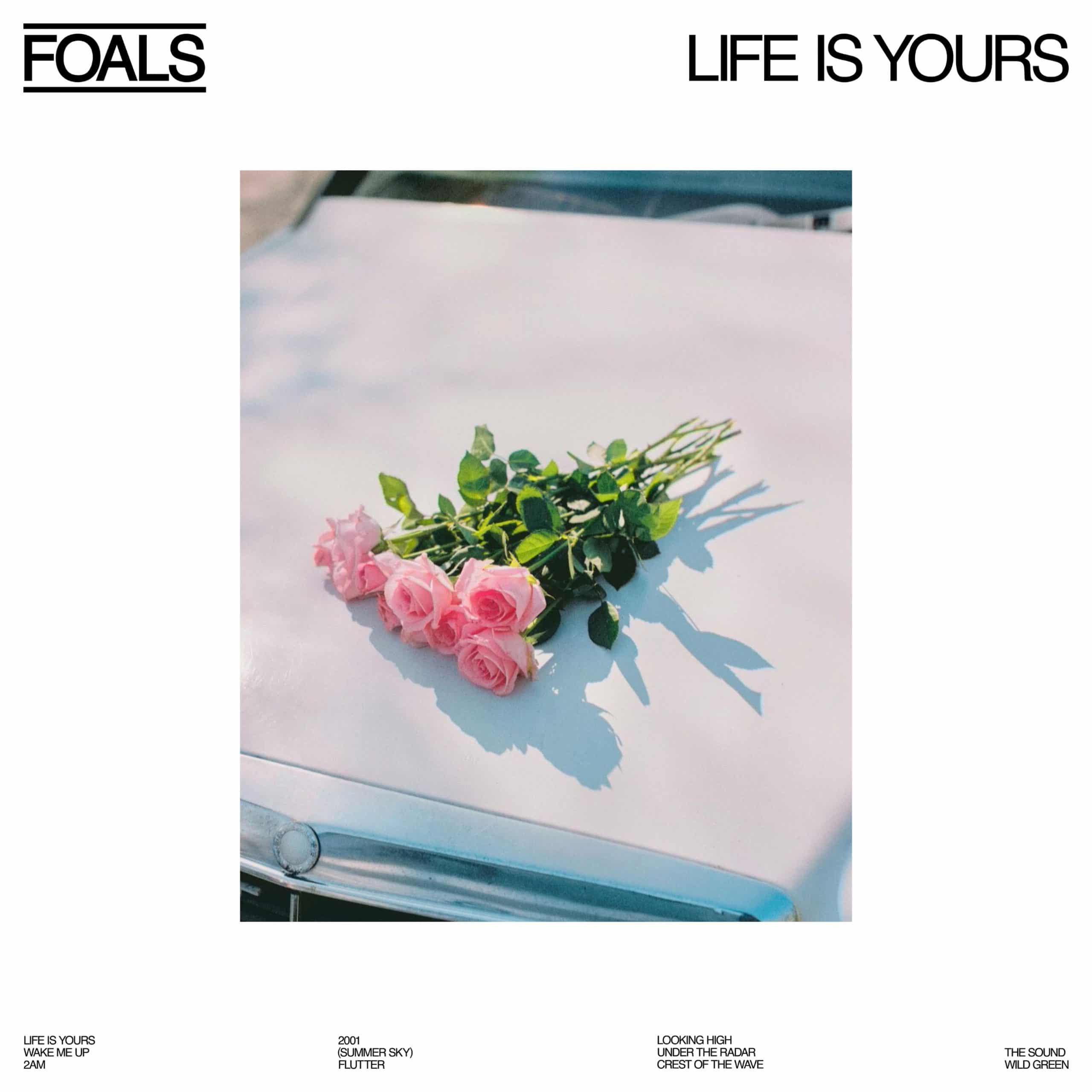 foals life is yours album artwork