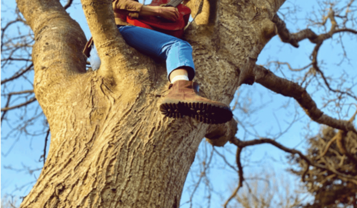 Oli Steadman and a Musical Marathon: “365 Days of Folk” Goes Beyond Its Goal