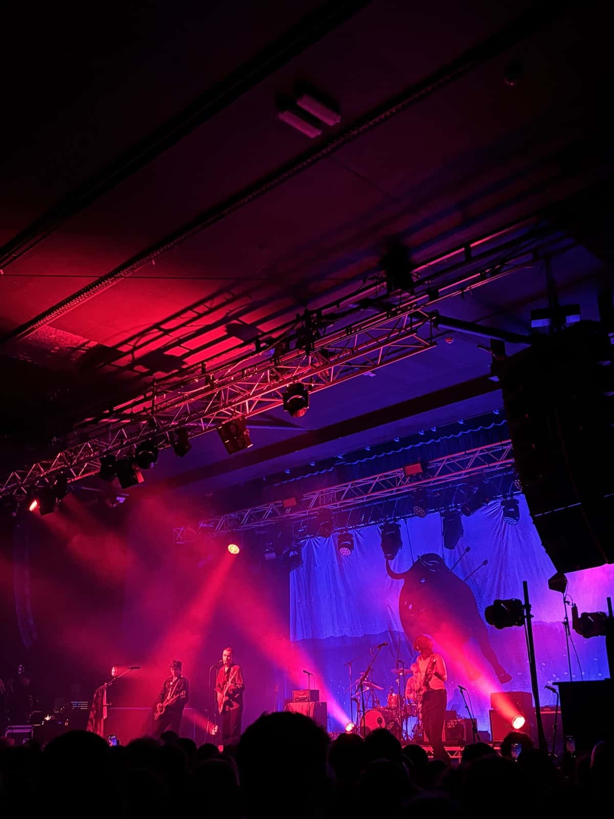 The Royston Club, Live in Manchester: A Reminder of Why Live Music Matters