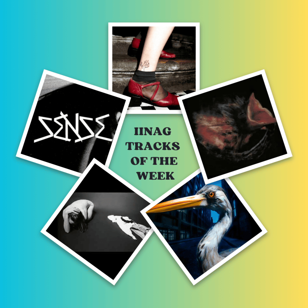 Tracks of the Week: Alphabet, Cusk, Gurriers, Antony Szmierek, and More!