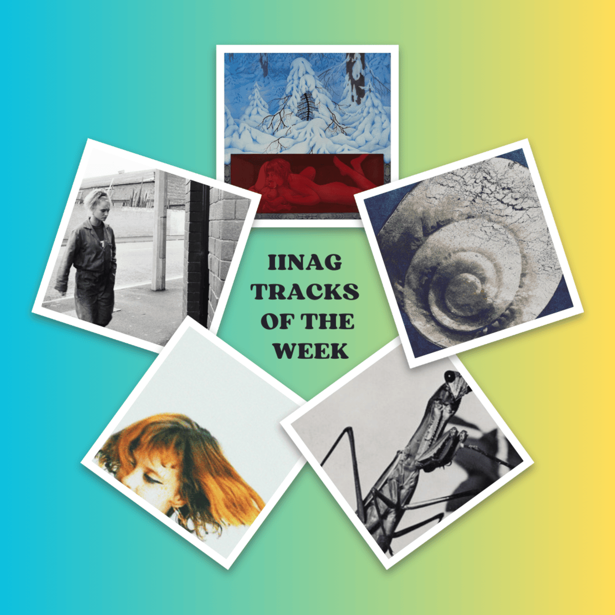 Tracks of the Week: Cardinals, Bleech 9:3, Courtney Barnett, and More!