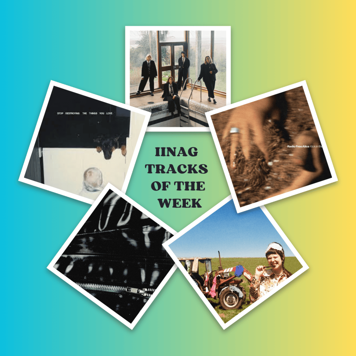 Tracks of the Week: Grandmas House, Radio Free Alice, Mollie Coddled, Walt Disco and More!